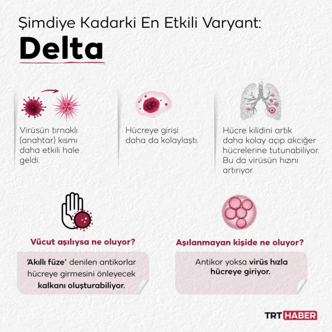 Grafik: TRT Haber / Nursel Cobuloğlu